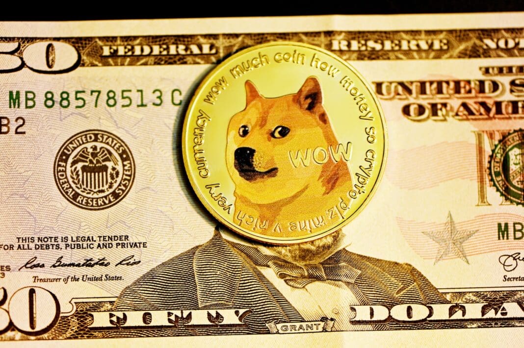 Dogecoin (DOGE) DRC-20 tokens recordhoogte