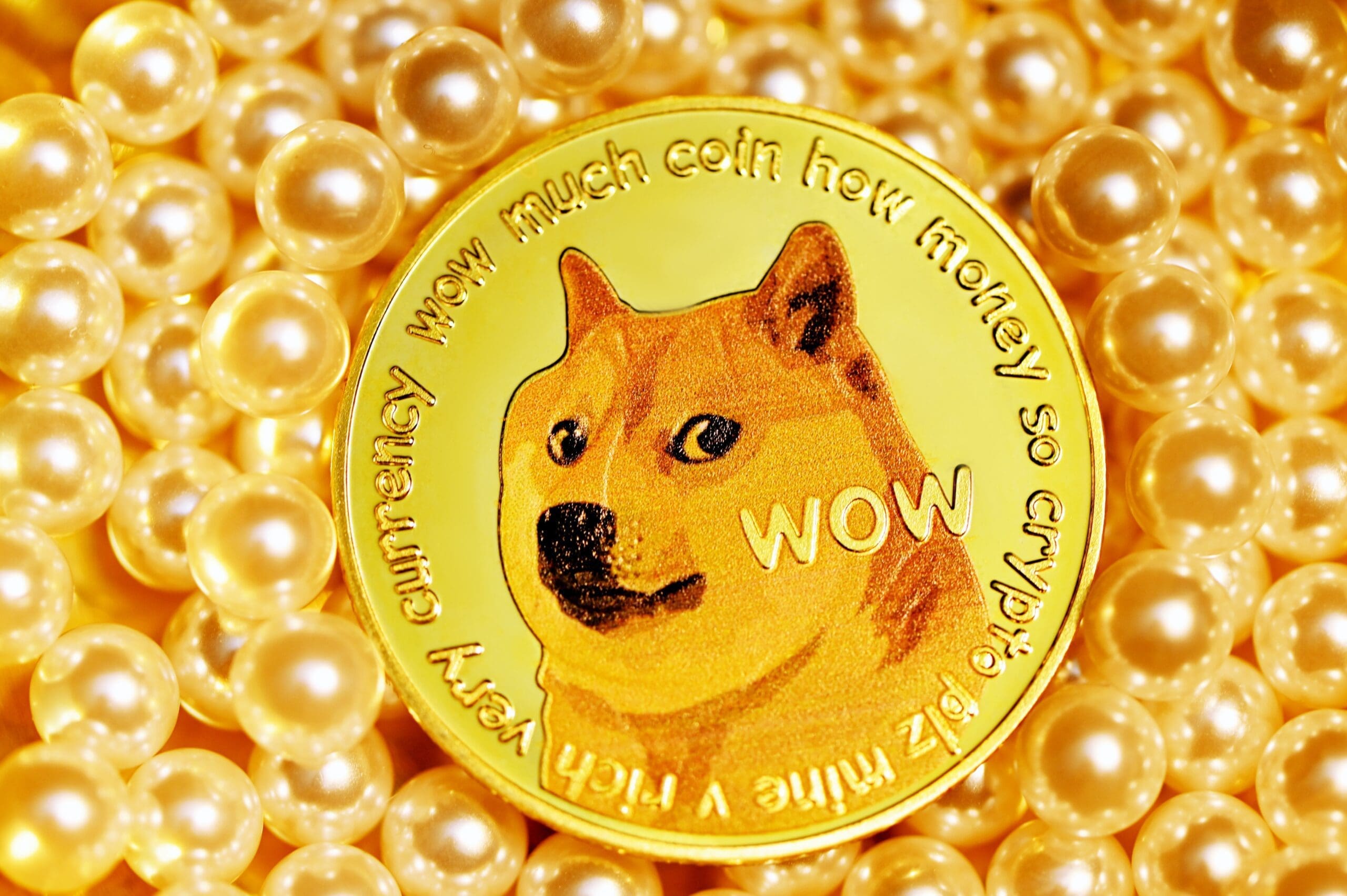 Dogecoin nieuwe logo van Twitter