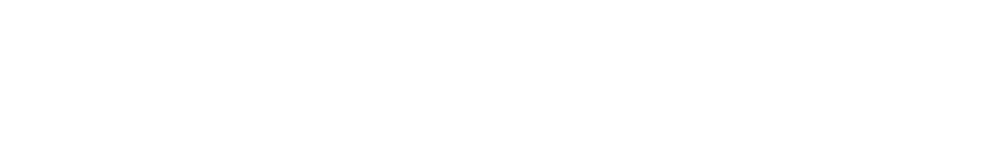 Crypto Nieuwsblad Logo Wit