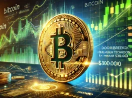 bitcoin op weg naar 300.000 dollar