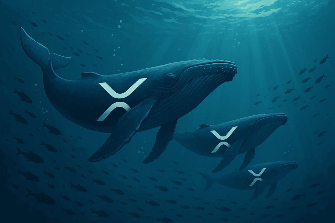 XRP verwachting mei 2025: Koers richting $4 door whales?